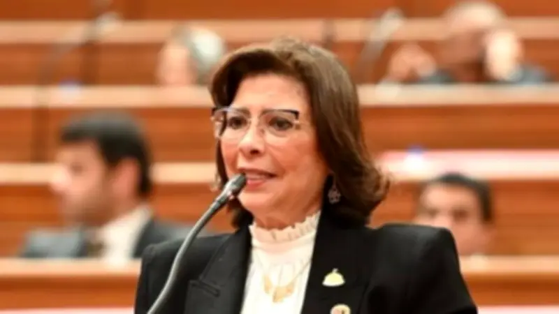 رئيس تضامن النواب تطالب بقروض ميسرة للمرأة والمشروعات الصغيرة