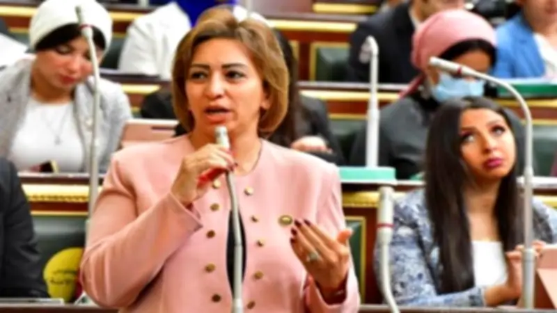 برلمانية تطالب الحكومة بخطة عاجلة لمواجهة أزمة الصحة النفسية بمصر