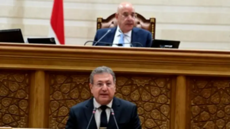 برلماني: اتفاقية التجارة التفضيلية تمنح مصر مزايا جمركية وتفتح أسواقًا للدواء والأسمدة