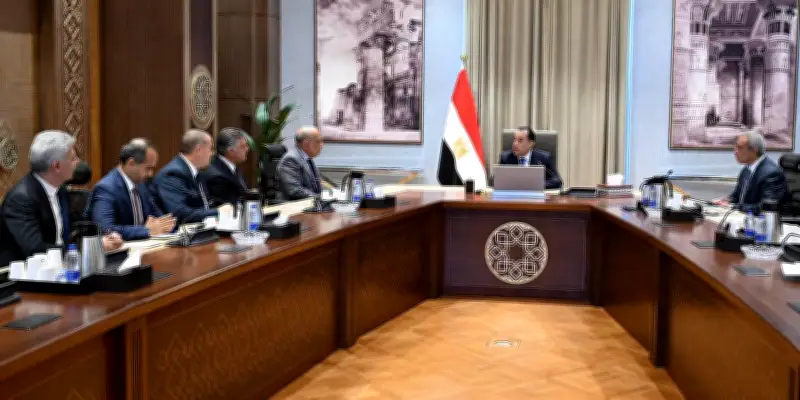 رئيس الوزراء يؤكد أهمية الإسراع بتنفيذ مشروعات الطاقة الجديدة والمتجددة