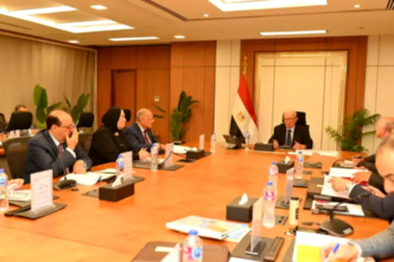 قطاع الأعمال العام يضخ 1.1 مليار جنيه أرباحًا إضافية في خزانة الدولة