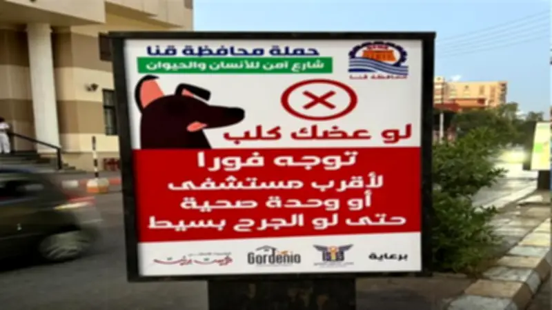 محافظ قنا: 10 دقائق زمن استجابة الخط الساخن لبلاغات الكلاب الضالة