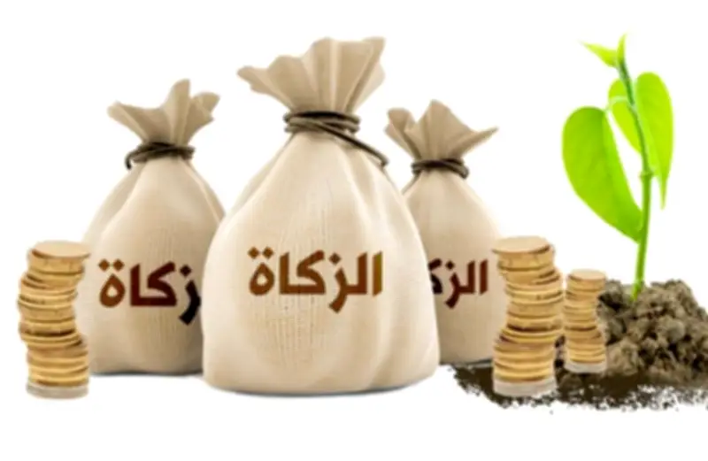 حكم إعطاء الزكاة لزوج البنت.. دار الإفتاء توضح الجواز بشروط