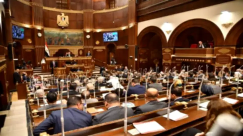 مجلس الشيوخ يناقش العدادات الكودية وأسعار الكهرباء.. ومطالب بالعودة لنظام الشرائح