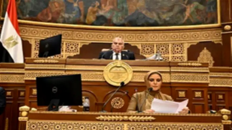 مجلس الشيوخ يحيل تقارير اللجان للحكومة لتنفيذ توصيات التنمية