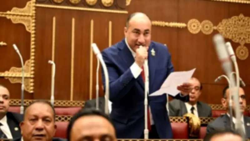 عضو بالشيوخ: مشاركة السيسي بقمة السبع تؤكد مكانة مصر الدولية