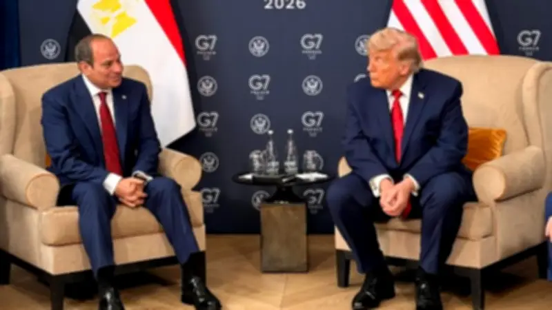 شردي: ترامب يتعامل مع السيسي باحترام ولقاؤهما تعهد أمريكي بحل أزمة سد النهضة