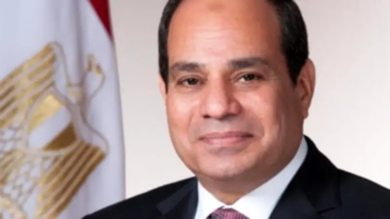 السيسي وبن زايد يرحبان باتفاق وقف الحرب مع إيران وإعادة فتح مضيق هرمز