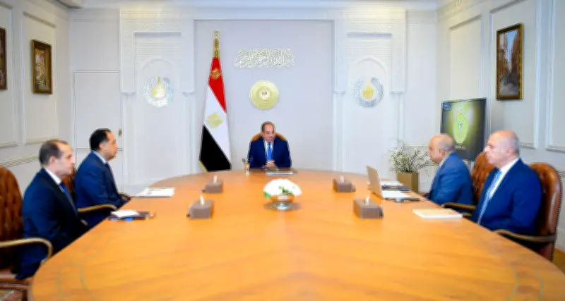 السيسي يؤكد على ضرورة تحسين جودة التغذية الكهربائية ورفع كفاءة استخدام الوقود التقليدي