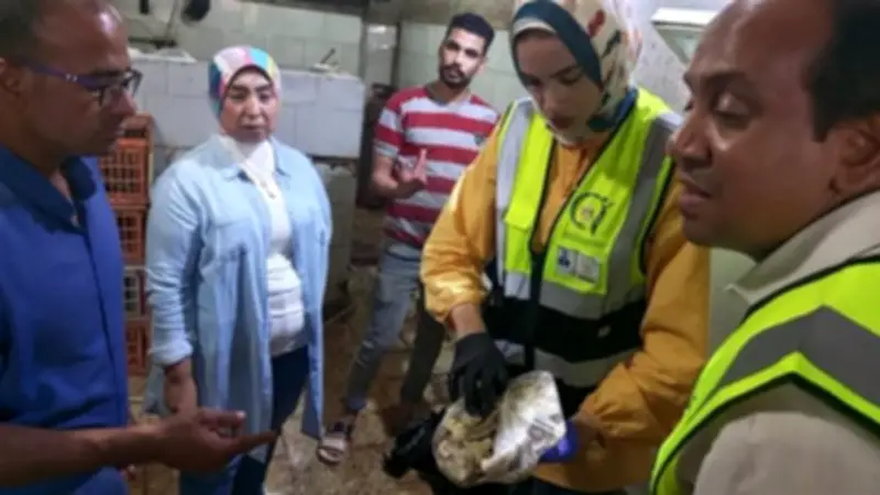 ضبط أغذية ولحوم فاسدة في حملة رقابية موسعة بالخصوص بالقليوبية