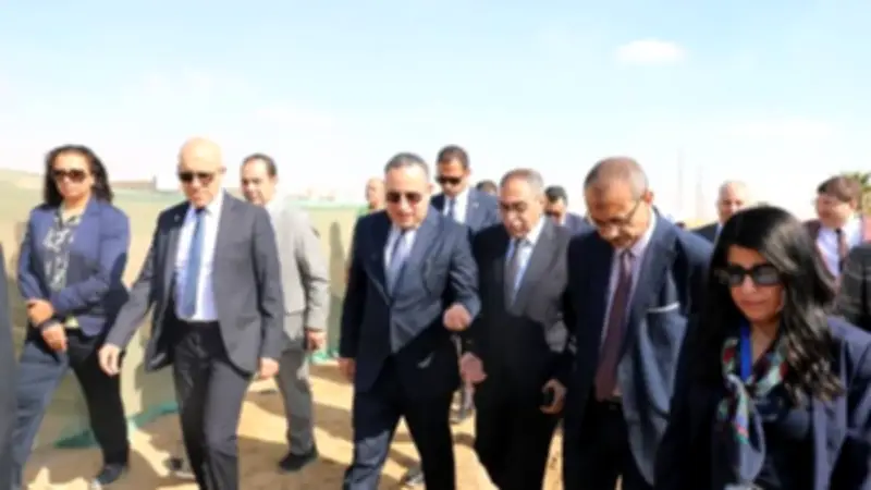 شراكات استراتيجية لتعزيز مكانة مصر كمركز إقليمي للتعليم العالي والبحث العلمي والابتكار
