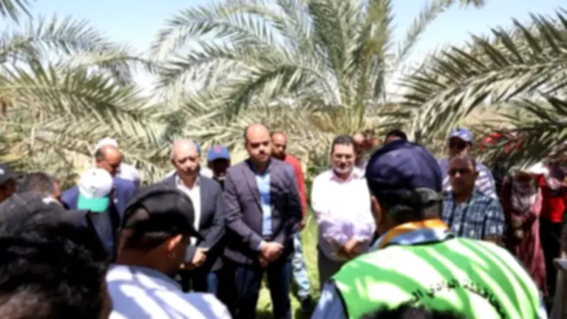 انطلاق التدريب الصيفي لطلاب كلية الزراعة بمزارع نخيل الوادي الجديد