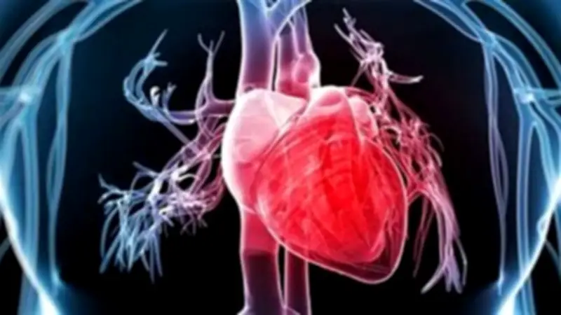 أعراض وأسباب ارتجاع الصمام الميترالي وطرق العلاج الحديثة