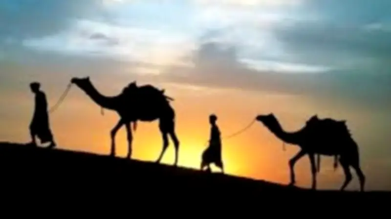 سر اختفاء الجمال الثلاثة خلال الهجرة النبوية.. معجزة لم تذكر تفاصيلها