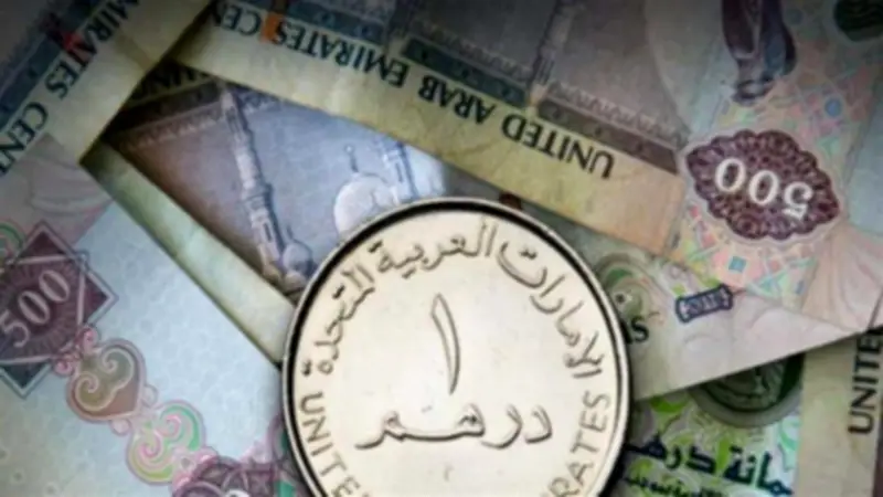 تراجع سعر الدرهم الإماراتي أمام الجنيه المصري في البنوك اليوم 29-6-2026