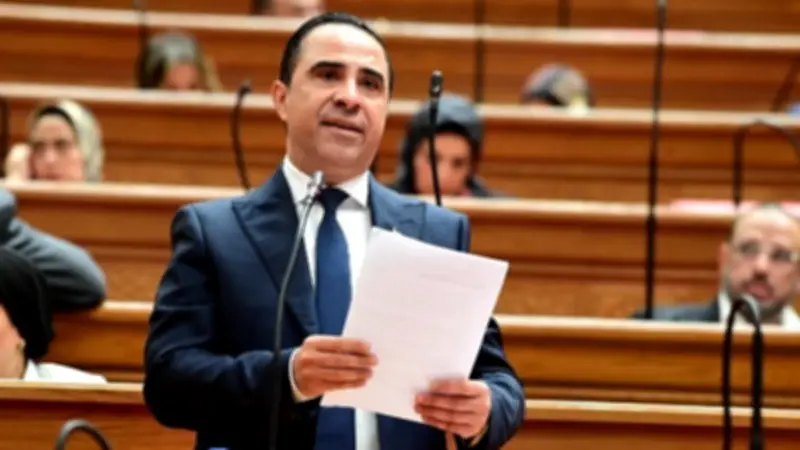 نائب: حوافز جمركية غير مسبوقة لدعم المصانع وتوطين المركبات الكهربائية