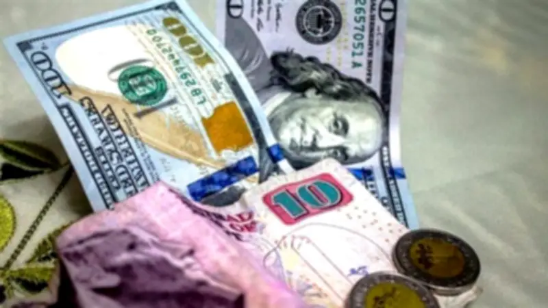 سعر الدولار اليوم في مصر 15 يونيو 2026.. استقرار بالبنوك والتعاملات المسائية