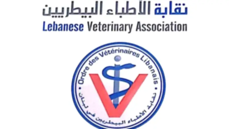 نقابة الأطباء البيطريين تطلق منصة توظيف إلكترونية لتعزيز فرص العمل