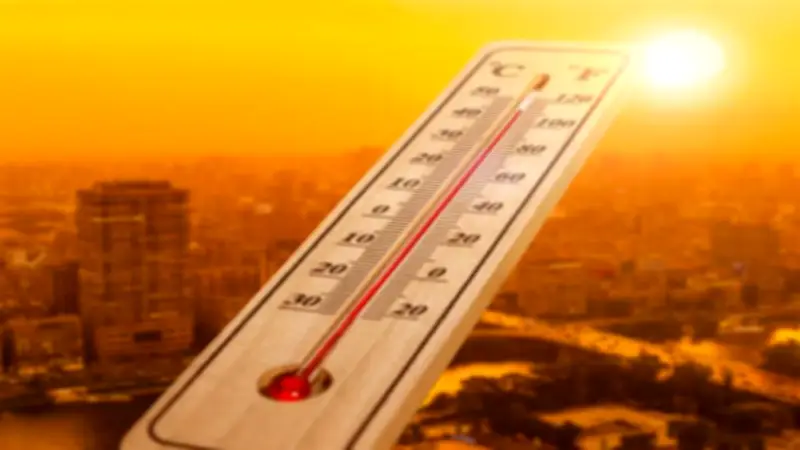 الطقس غدا: حار رطب بالقاهرة وشديد الحرارة بجنوب الصعيد يتجاوز 40 مئوية