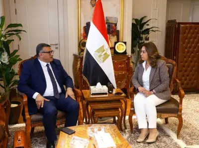 التنمية المحلية في قنا: إنجاز أكثر من 1000 مشروع بحياة كريمة