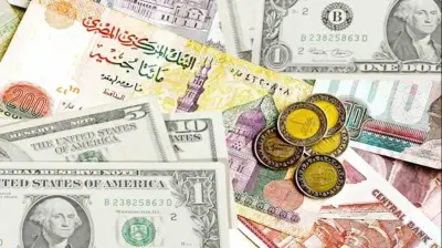 استقرار أسعار العملات الأجنبية اليوم الجمعة 12-6-2026.. الدولار عند 51.91 جنيه