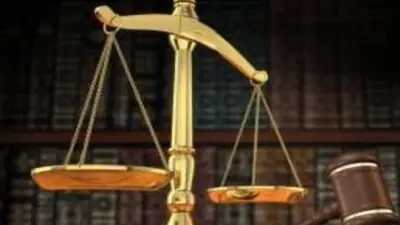 المشدد 15 عامًا لصاحب مزرعة زيتون بجنوب سيناء بتهمة الاتجار بالمخدرات