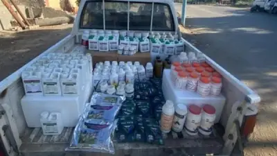 التموين بالفيوم تضبط 1500 عبوة مستحضرات تجميل مغشوشة