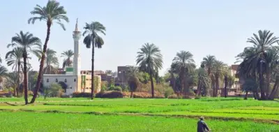 كيف كان حرث الأرض الزراعية في قرى الريف منذ 151 سنة؟ صورة نادرة