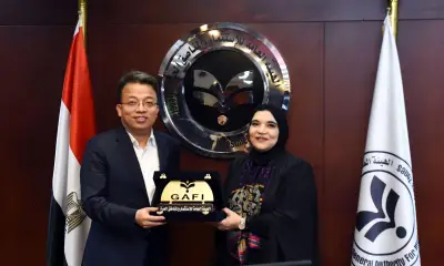 16 شركة صينية كبرى تستعد لزيارة مصر لبحث فرص الاستثمار والتوسع