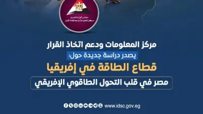 مصر تتصدر قائمة أكبر مستهلكي الغاز الطبيعي في أفريقيا خلال 2024
