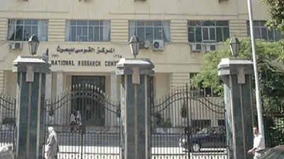 برنامج تدريبي للباحثين الاجتماعيين بالمركز القومي للبحوث يوليو 2026