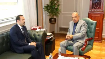 ربط مشروعات طاقة شمسية وبطاريات بقدرة 2324 ميجاوات على الشبكة بنجع حمادي والواحات