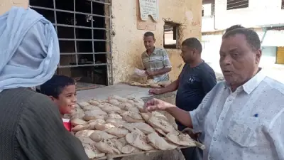 تحرير 26 محضر مخالفات ضد أصحاب مخابز بالغربية