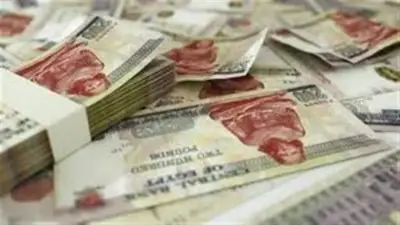 وزارة العمل تواصل صرف تعويضات 300 ألف جنيه للعمالة غير المنتظمة