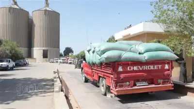 توريد 309 آلاف طن قمح للشون والصوامع ببني سويف منذ بداية الموسم