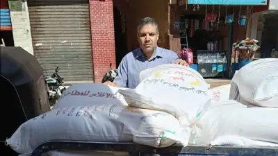 ضبط 3762 مخالفة تموينية ومصادرة 151 طنًا من السلع بالجيزة في مايو