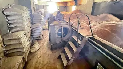 ضبط 4200 طن أعلاف مجهولة المصدر في مصنع غير مرخص بالمنوفية