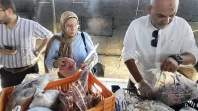 ضبط 440 كيلو لحوم ودواجن ودهون حيوانية غير صالحة بمطاعم بالعبور