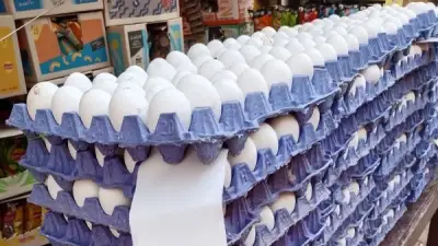 طبق البيض بـ 55 جنيها.. انخفاض ملحوظ في الأسواق المصرية
