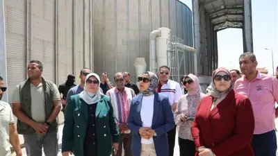 محافظ الوادي الجديد: توريد 553 ألف طن قمح واستمرار الموسم حتى منتصف أغسطس