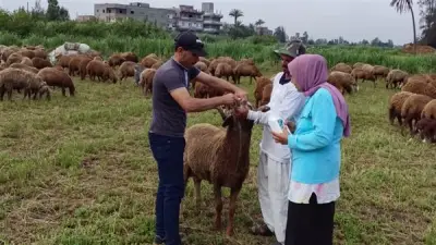 609 حالات في قافلة شاملة بقرية المروحة بالبحيرة
