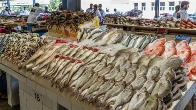أسعار السمك في المنيا اليوم الثلاثاء 9 يونيو 2026: البلطي والبوري والمكرونة السويسي