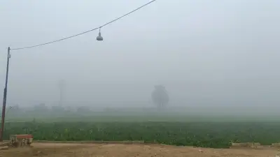 أبيب يهدد المحاصيل.. وزارة الزراعة تحذر من أصعب اختبار حراري