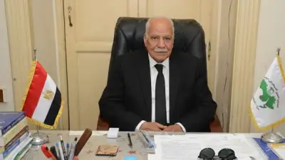 أبو العلا: زيارات القادة الأفارقة لمصر تعكس الدور المحوري للقاهرة في أفريقيا