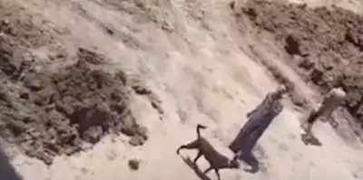 خلاف الجيرة الزراعية يشعل الأزمة: تحطيم ماكينة ري وإغراق طريق أرض بالشرقية