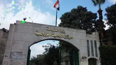 مركز البحوث الزراعية يناقش الأمن الغذائي والتغذية الصحية في ملتقاه السابع