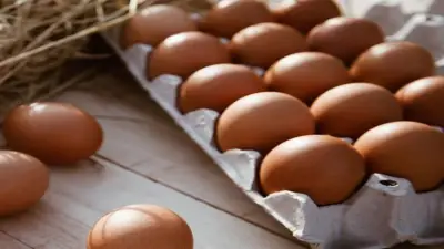البحوث الزراعية يعقد مؤتمراً علمياً لحسم الجدل حول أضرار الدواجن والبيض