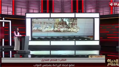 عضو بـ«زراعة النواب»: الدولة تنحاز للمواطن وتسعى لتحقيق توازن عادل في سوق البيض