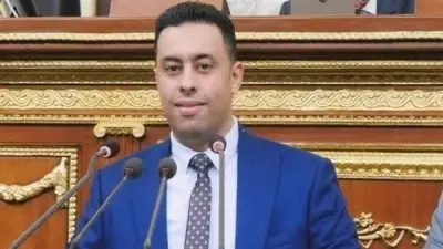 أحمد فرغل: مصر عصية على الإفلاس والسياسات المالية أرهقت الشارع