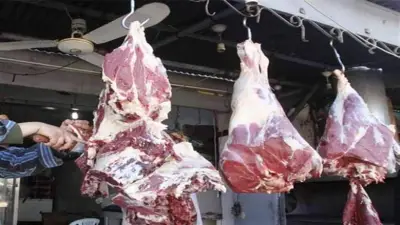 رئيس القصابين: أسعار اللحوم ستنخفض تدريجياً بعد عيد الأضحى
